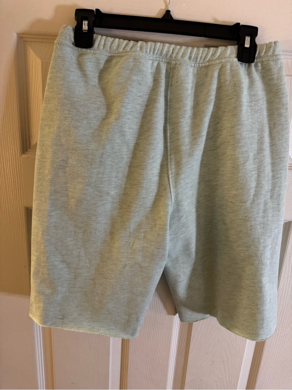 Free People “For The Win” NWOT (pistachio) Slouchy, Relaxed Fit  Shorts - Picture 7 of 9